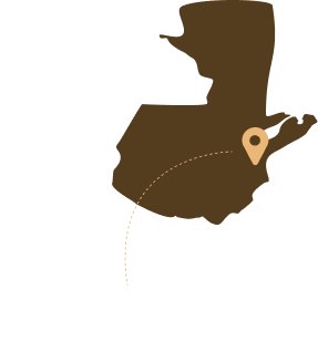 Jocotán